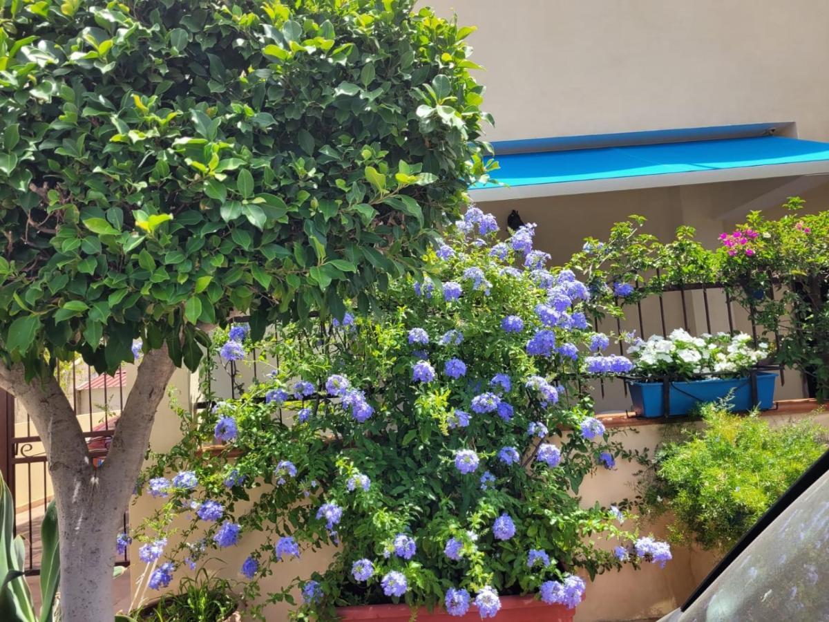 My Little House - grazioso appartamento con patio a 5 minuti dalla spiaggia e dal centro Tropea Esterno foto